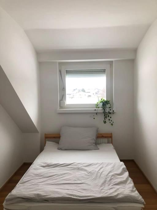 Casa More Niederalm Екстериор снимка